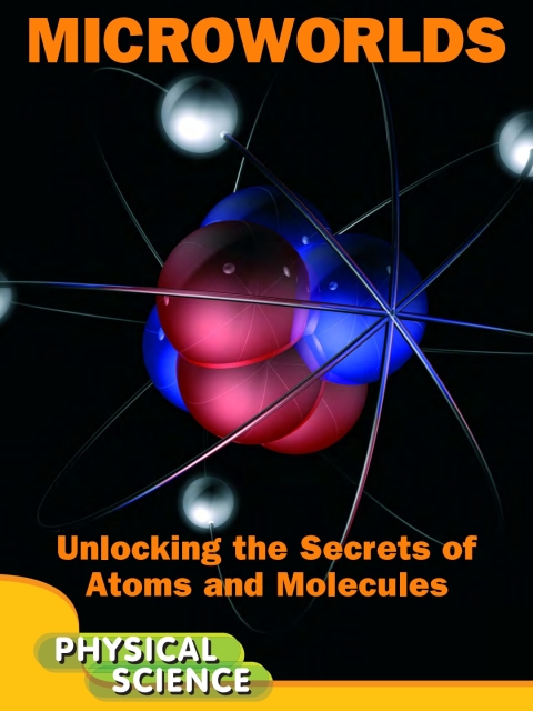 Cover image for book Microworlds