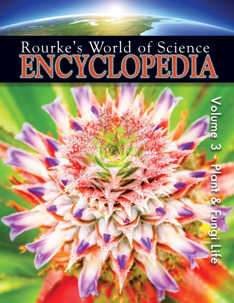Cover image for book Science Encyclopedia Plant Life