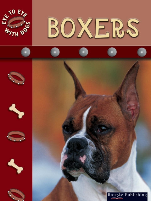 Cover image for book Boxers