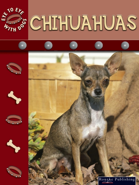 Cover image for book Chihuahuas