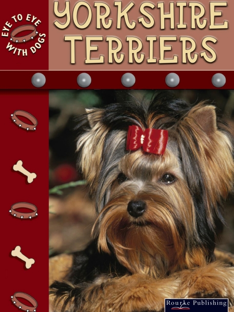 Cover image for book Yorkshire Terriers