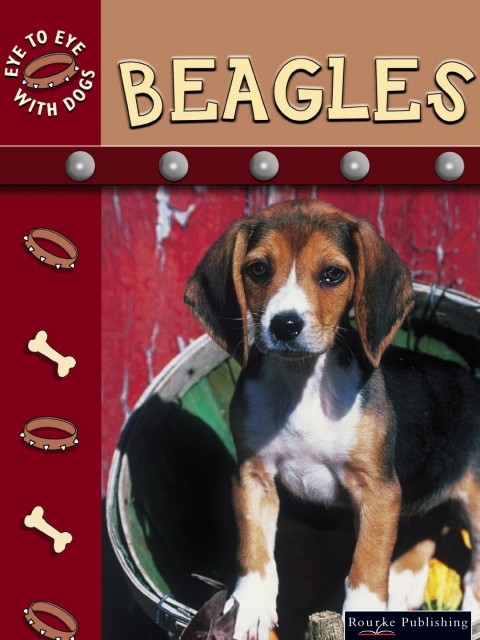 Cover image for book Beagles
