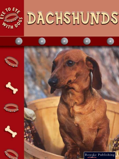 Cover image for book Dachshunds