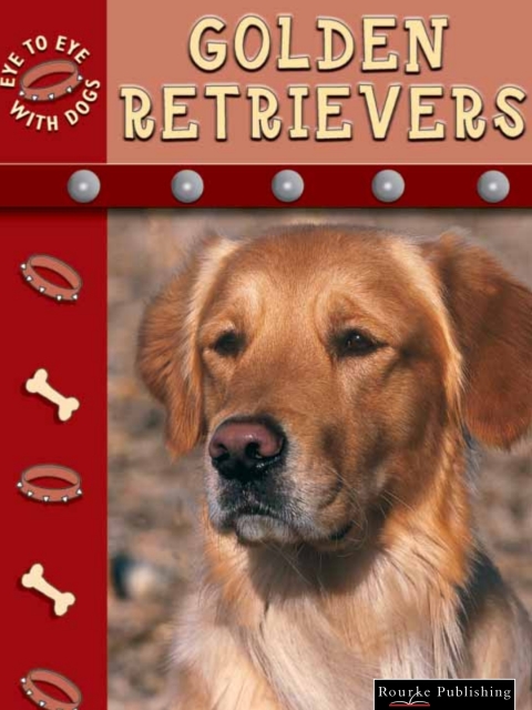 Cover image for book Golden Retrievers