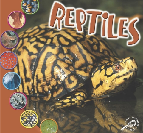 Cover image for book Reptiles