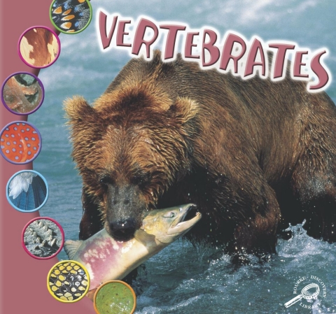 Cover image for book Vertebrates