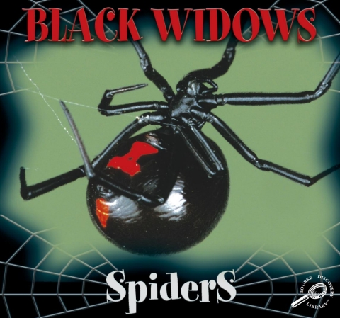 Cover image for book Black Widows