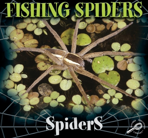 Cover image for book Fishing Spiders