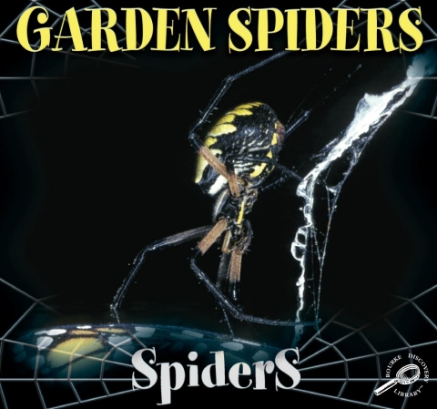 Cover image for book Garden Spiders