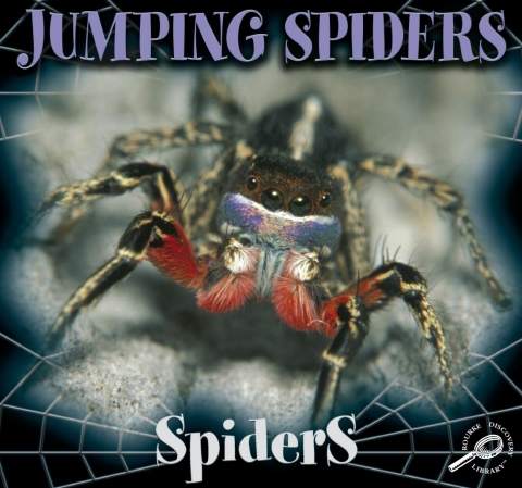 Cover image for book Jumping Spiders