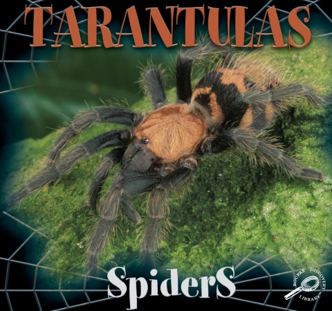 Cover image for book Tarantulas