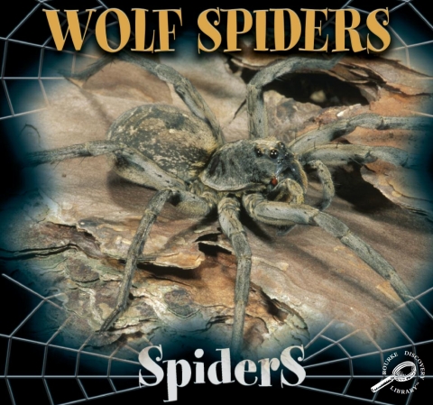 Cover image for book Wolf Spiders
