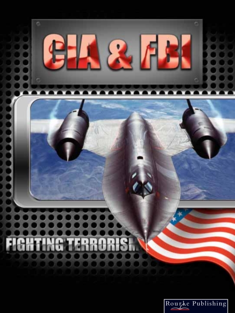 Cover image for book CIA and FBI