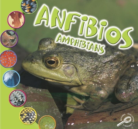 Cover image for book Anfibios