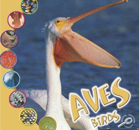 Cover image for book Aves