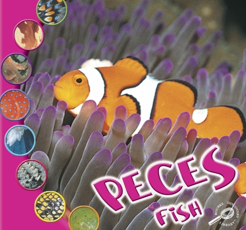 Cover image for book Peces