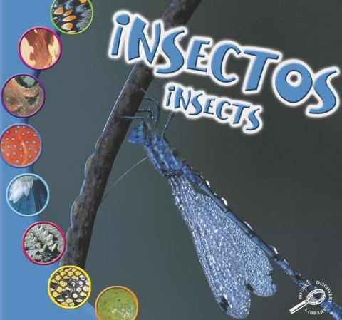 Cover image for book Insectos
