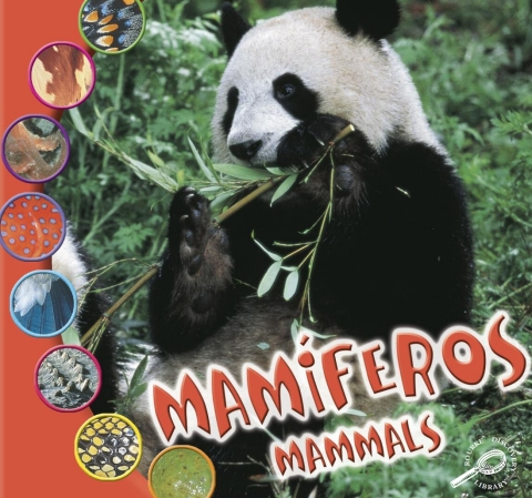 Cover image for book Mamiferos