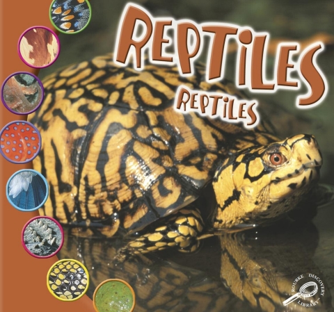 Cover image for book Reptiles