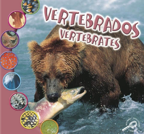 Cover image for book Vertebrados