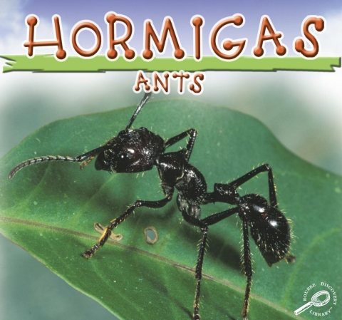 Cover image for book Hormigas