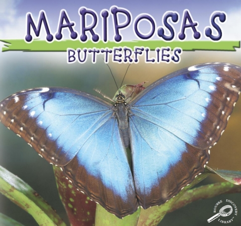 Cover image for book Mariposas