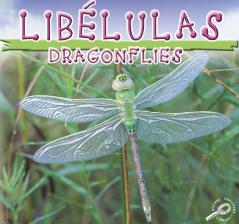 Cover image for book Libelulas