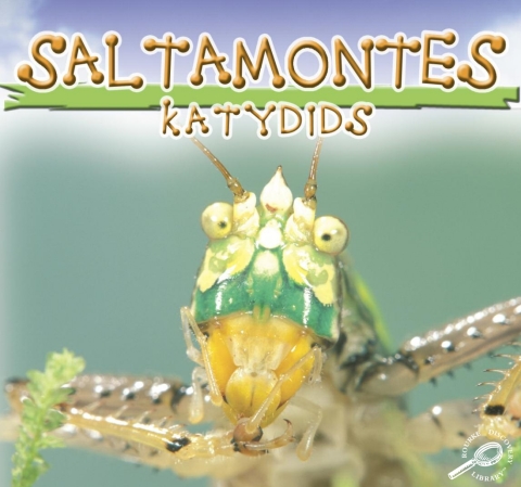 Cover image for book Saltamontes