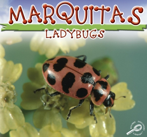 Cover image for book Mariquitas