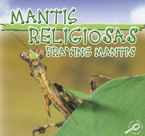 Cover image for book Mantis Religiosas