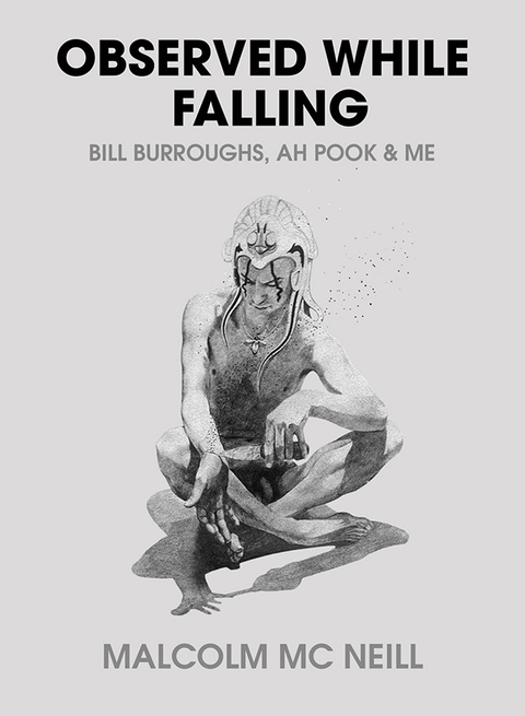 Cover image for book Observed While Falling