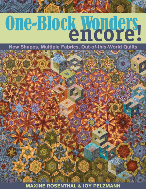 Cover image for book One Block Wonders Encore