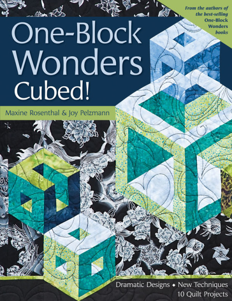 Cover image for book One-Block Wonders Cubed!