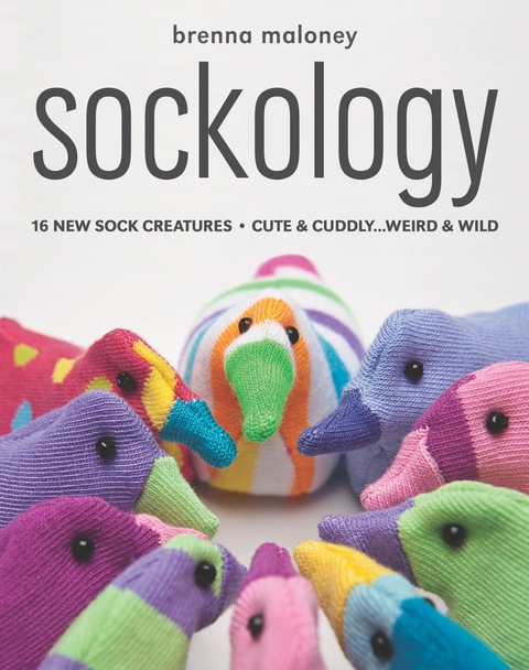 Cover image for book Sockology