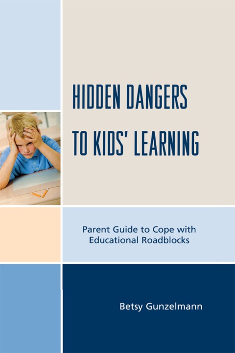 Cover image for book Hidden Dangers to Kids' Learning