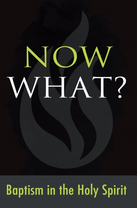 Cover image for book Now What? Baptism in the Holy Spirit