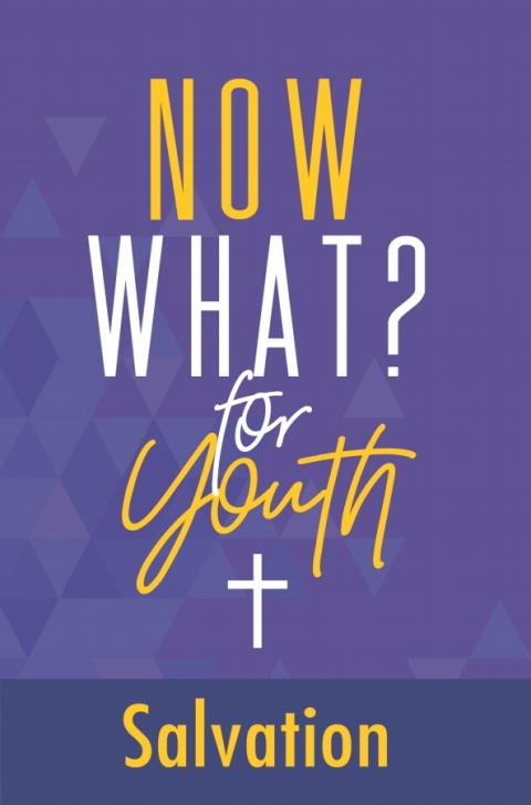 Cover image for book Now What? for Youth Salvation