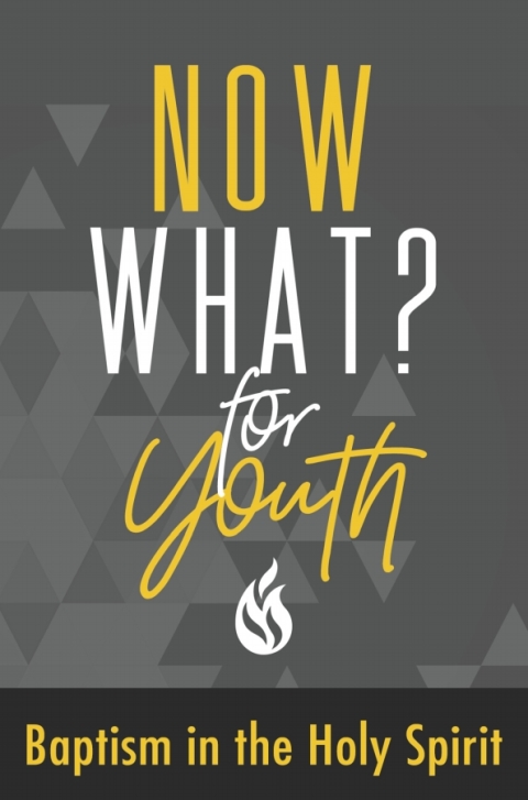 Cover image for book Now What? For Youth Baptism in the Holy Spirit