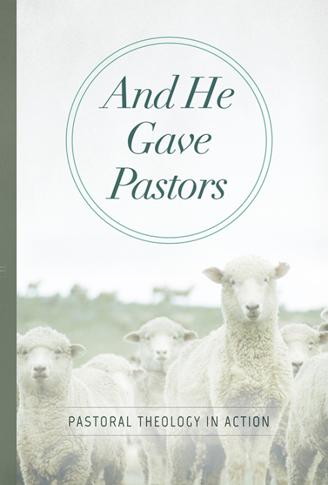 Cover image for book And He Gave Pastors