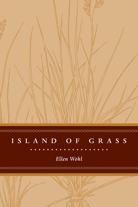 Cover image for book Island of Grass