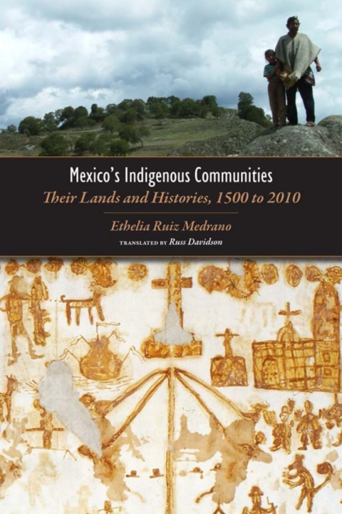 Cover image for book Mexico's Indigenous Communities