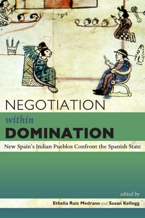 Cover image for book Negotiation within Domination