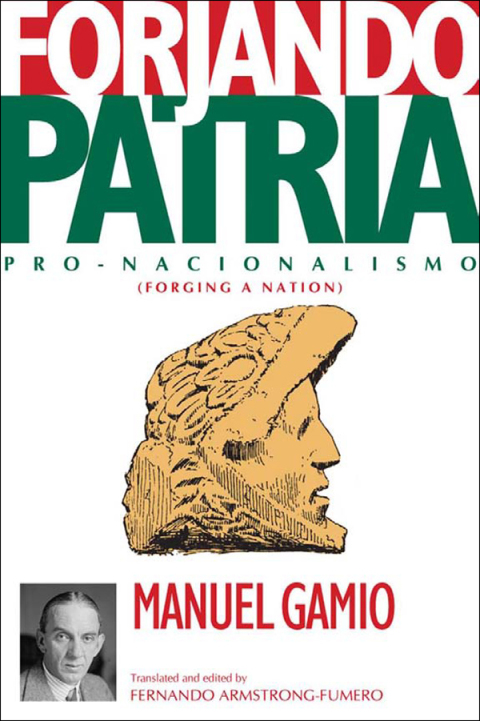 Cover image for book Forjando Patria