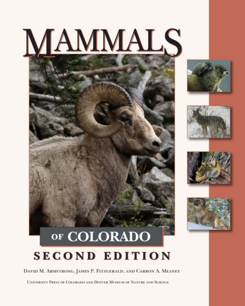 Cover image for book Mammals of Colorado, Second Edition