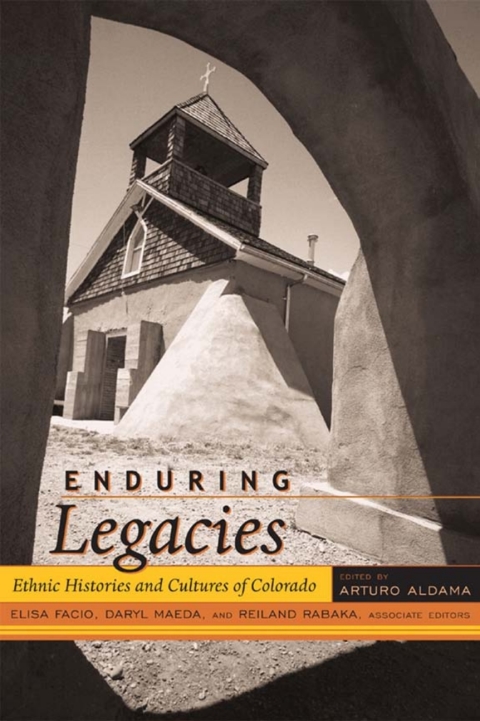 Cover image for book Enduring Legacies