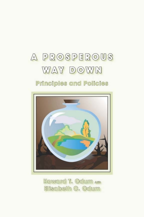 Cover image for book A Prosperous Way Down