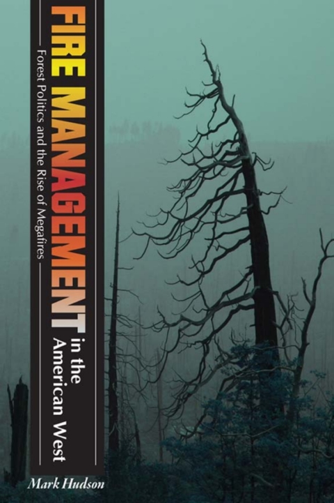 Cover image for book Fire Management in the American West