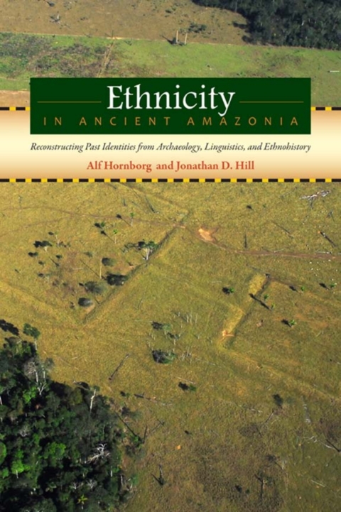 Cover image for book Ethnicity in Ancient Amazonia