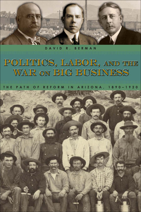 Cover image for book Politics, Labor, and the War on Big Business