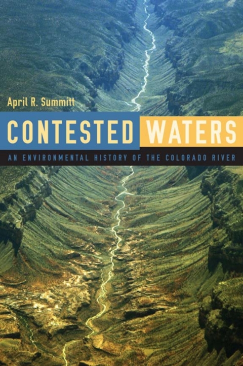Cover image for book Contested Waters